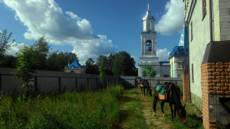 Однодневный конный поход Великорецкое - Горохово